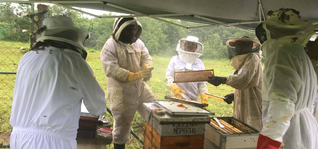 Beekeepers training under tent